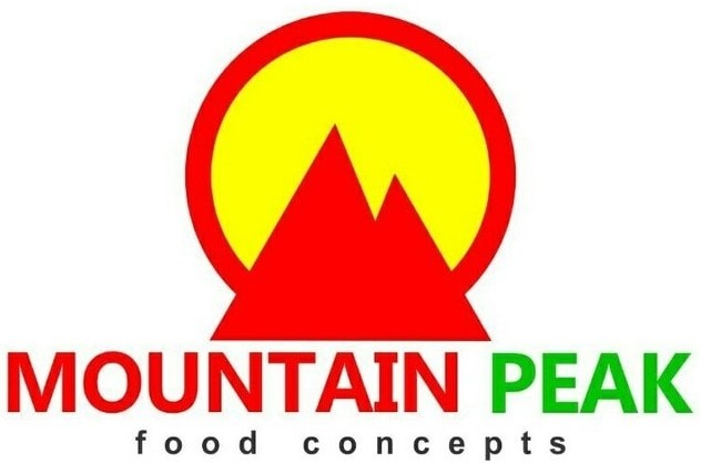 mountain peak concept logo
